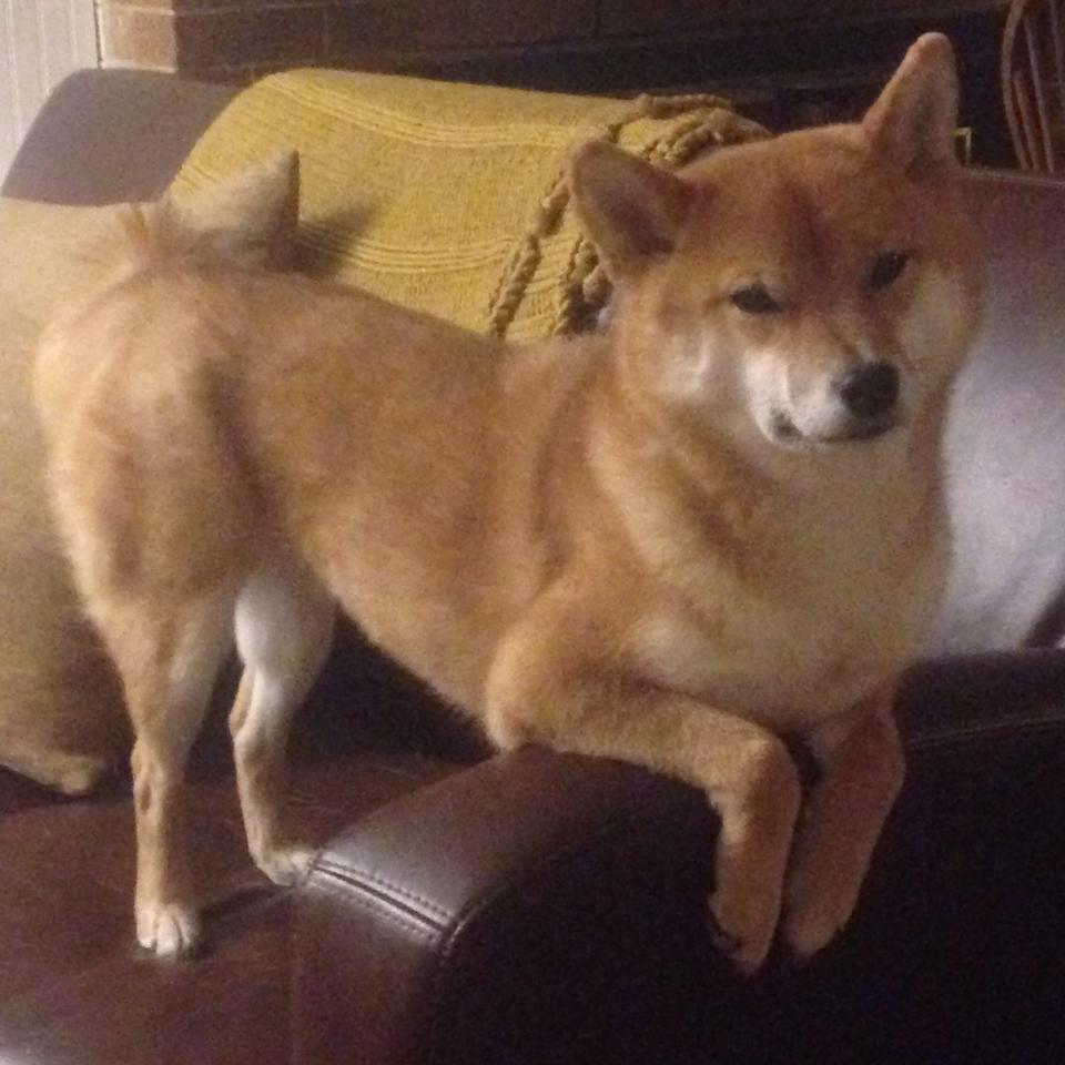 新媒体运营让中国足球影响力不断扩大，国内新媒体运营现状